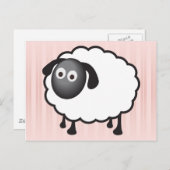 Witte schapen briefkaart (Voorkant / Achterkant)