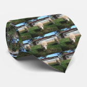 Witte schapen op het Boerderij Stropdas (Opgerold)