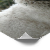 Witte schapen poster (Hoek)