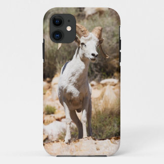 Witte schapen van het gezin iPhone 11 hoesje
