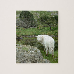Witte schapen, Wales & British Hilwalk Legpuzzel