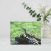 Witte scharnieren briefkaart (Staand voorkant)