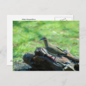 Witte scharnieren briefkaart (Voorkant / Achterkant)