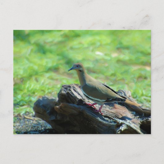 Witte scharnieren briefkaart (Voorkant)