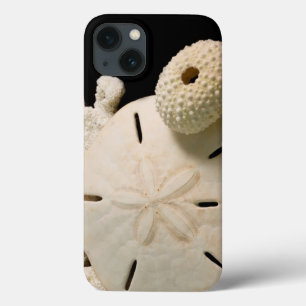 Witte schelpen en sand dollar iPhone 13 hoesje