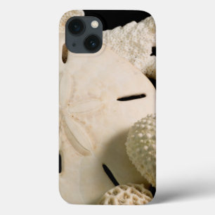 Witte schelpen en zanddollar iPhone 13 hoesje
