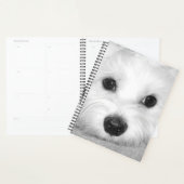 Witte Schoonheid Maltese Hond Mam Planner (Display)