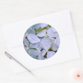 Witte schoonheid ronde sticker (Envelop)