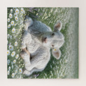 Witte Schotse Hoogland kalf in Daisy Meadow Legpuzzel (Horizontaal)