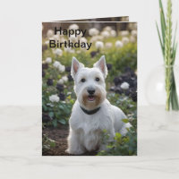 Witte Schotse Terrier In Zwarte Witte Rozen, Verja
