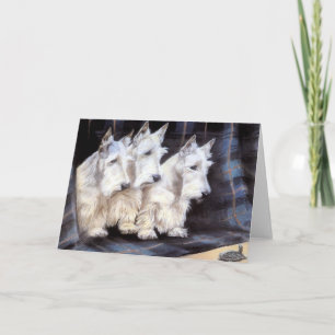 Witte Schotse Terriers Scotties Kaart