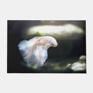 Witte siamese gevechtsvis deurmat