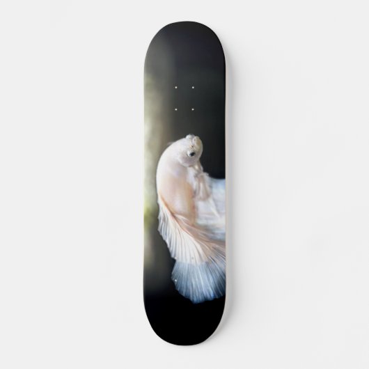 Witte siamese gevechtsvis skateboard (Voorkant)