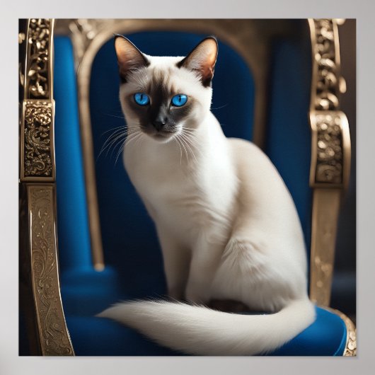 Witte Siamese kat Poster (Voorkant)