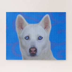 Witte Siberische Husky Legpuzzel (Blauw BG)