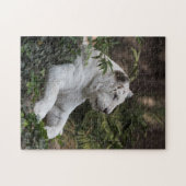 Witte Siberische tijger Legpuzzel (Horizontaal)