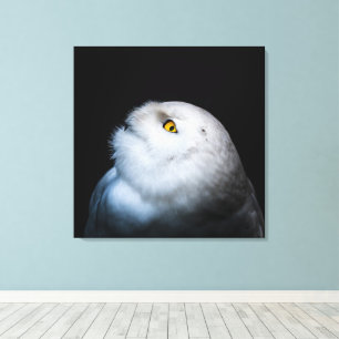 Witte Sneeuwuil in de Winter Canvas Afdruk