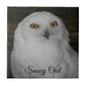 Witte Sneeuwuil Natuur Foto Tegeltje (Voorkant)