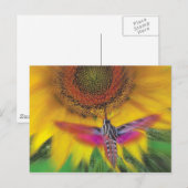 witte spinnex briefkaart (Voorkant / Achterkant)