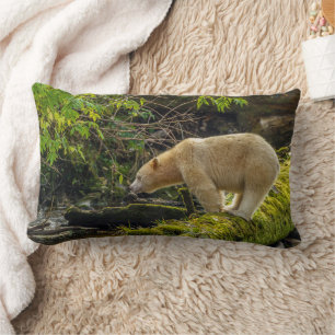 Witte Spirit Bear Kussen