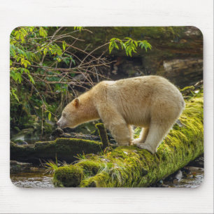 Witte Spirit Bear Muismat