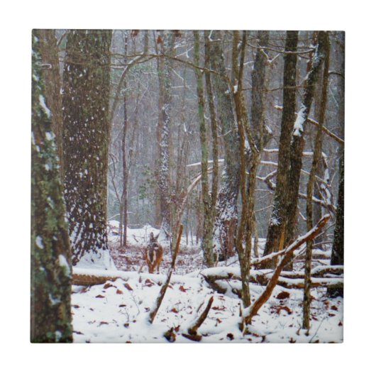 witte staartherten in de sneeuw tegeltje (Voorkant)