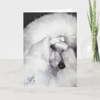 Witte StandaardPoedel 1 23 10 Kaart