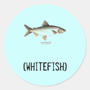 Witte stickers