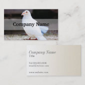 Witte stip, vogelfoto visitekaartje (Voorkant / Achterkant)