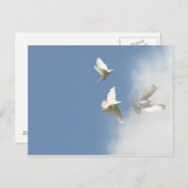 Witte stippen vliegen briefkaart (Voorkant / Achterkant)