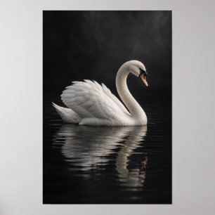Witte Stomme Zwaan op Donkere Reflecterende Water Poster