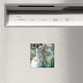 Witte stoot in Daffodils Magneet (Insitu (Vaatwasser))