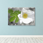 Witte strandroos wilde bloem canvas afdruk (Insitu (Houten vloer))