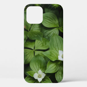 WITTE STROOM MET GROENE LEAVES iPhone 12 HOESJE