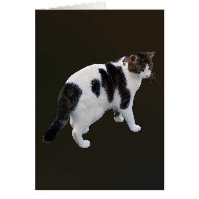 Witte tablet met donkere pleisters (Voorkant)