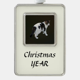 Witte tablet met donkere pleisters verzilverd kader ornament