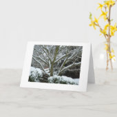 Witte Takken Kaart (Gele Bloem)