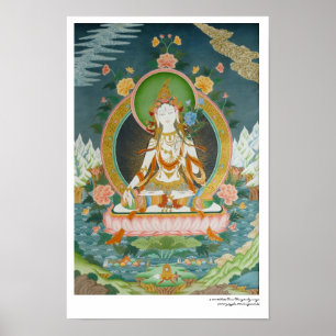 Witte Tara Poster
