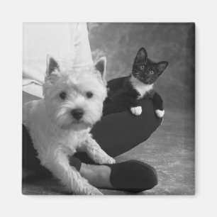 Witte Terrier en kat Deel de liefde Magneet