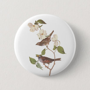 Witte-Throated Sparrow Audubon Bird in Dogwood Ronde Button 5,7 Cm