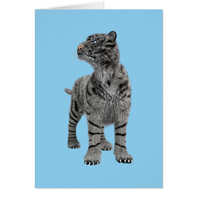 Witte Tijger (Voorkant)
