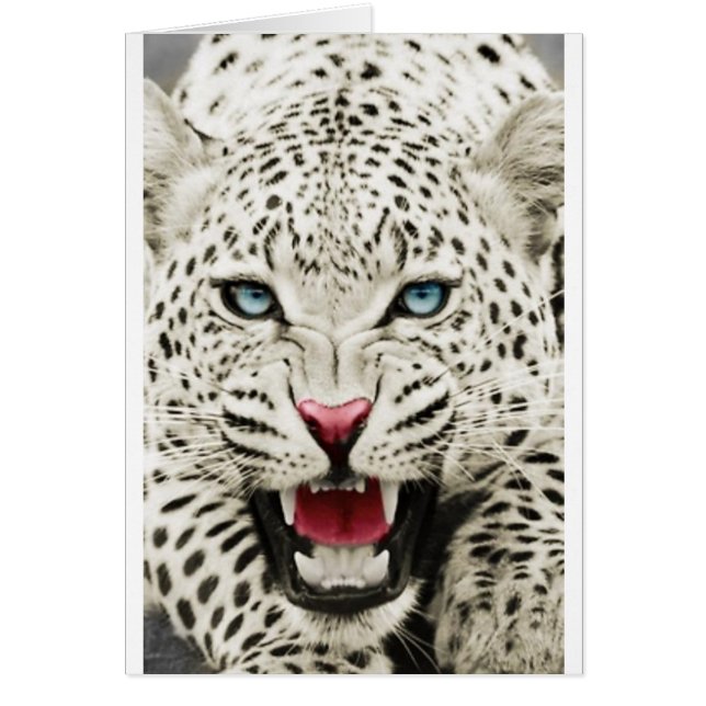 witte tijger (Voorkant)