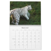 Witte Tijger 3949e, Witte Tijger Kalender (Mar 2027)