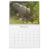 Witte Tijger 3949e, Witte Tijger Kalender (Feb 2027)