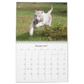 Witte Tijger 3949e, Witte Tijger Kalender (Jan 2027)