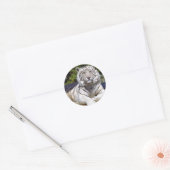 Witte Tijger 9 Stickers (Envelop)