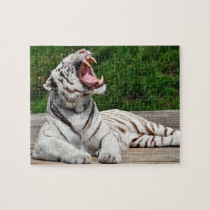 Witte Tijger, Bengaalse Tijger Puzzel