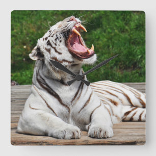 Witte Tijger, Bengaalse Tijger Wandklok Vierkante Klok