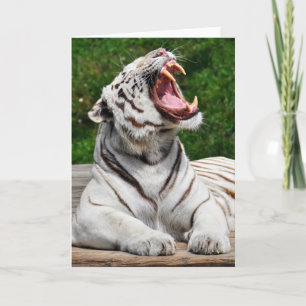 Witte Tijger, Bengaalse Tijger Wenskaart Kaart
