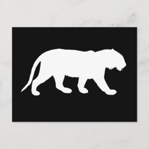 Witte tijger briefkaart